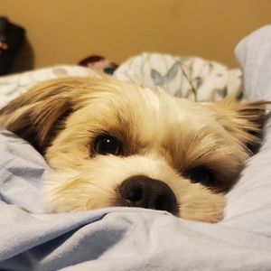 Meet your Posher, Jaleesa